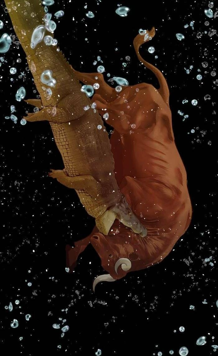 Anh Hùng Yếu Chapter 224 - 83