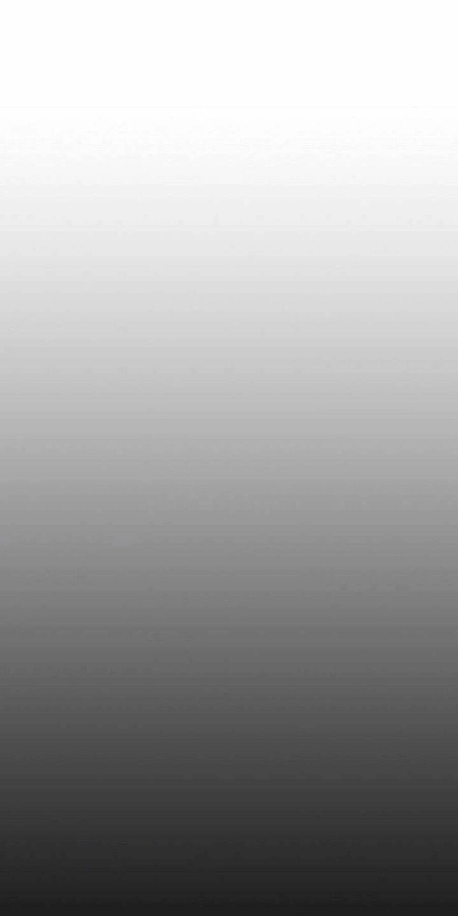 Chuyển Sinh Ma Pháp Đặc Biệt Yếu Chapter 150 - 62