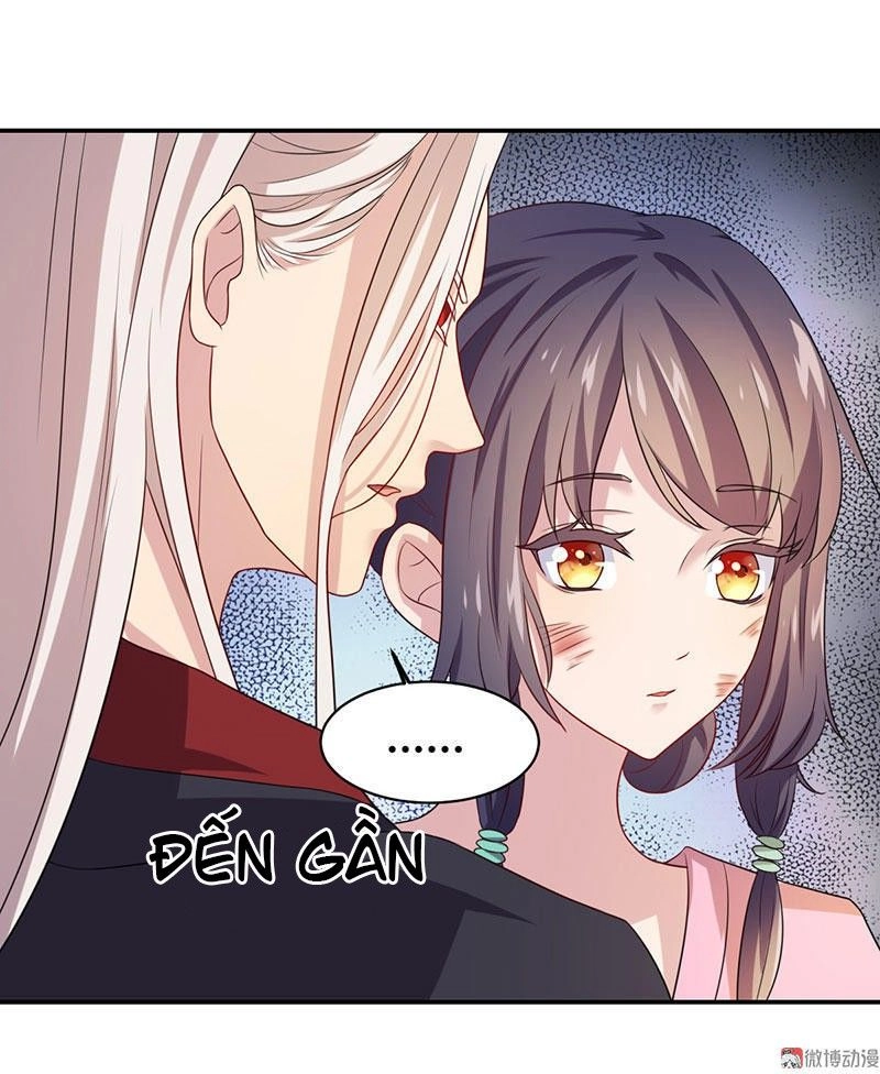 Khuynh Thế Đế Vương Cơ Chapter 4.1 - 17