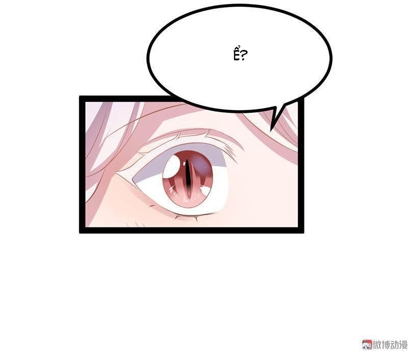 Khuynh Thế Đế Vương Cơ Chapter 36.1 - 10