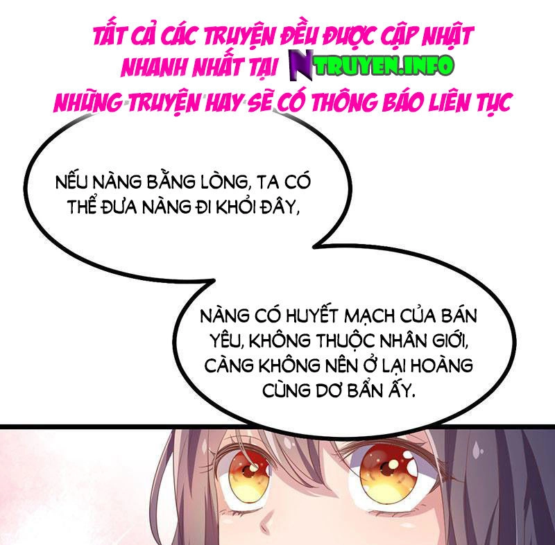 Khuynh Thế Đế Vương Cơ Chapter 38.1 - 31