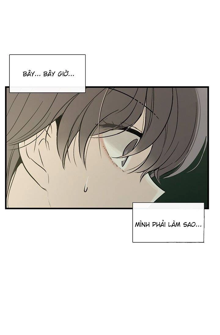 Lãnh Địa Totem Chapter 6 - 18