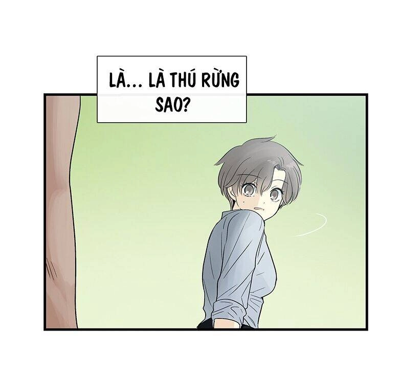 Lãnh Địa Totem Chapter 15 - 67