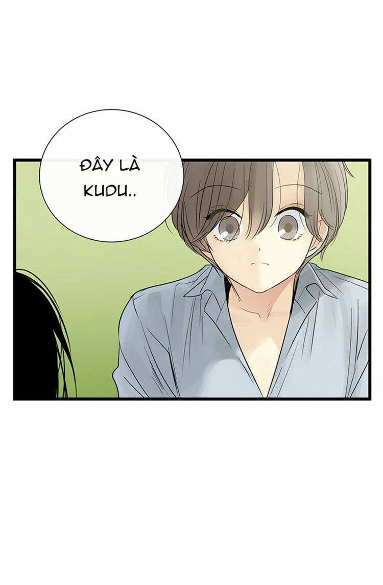 Lãnh Địa Totem Chapter 17 - 67