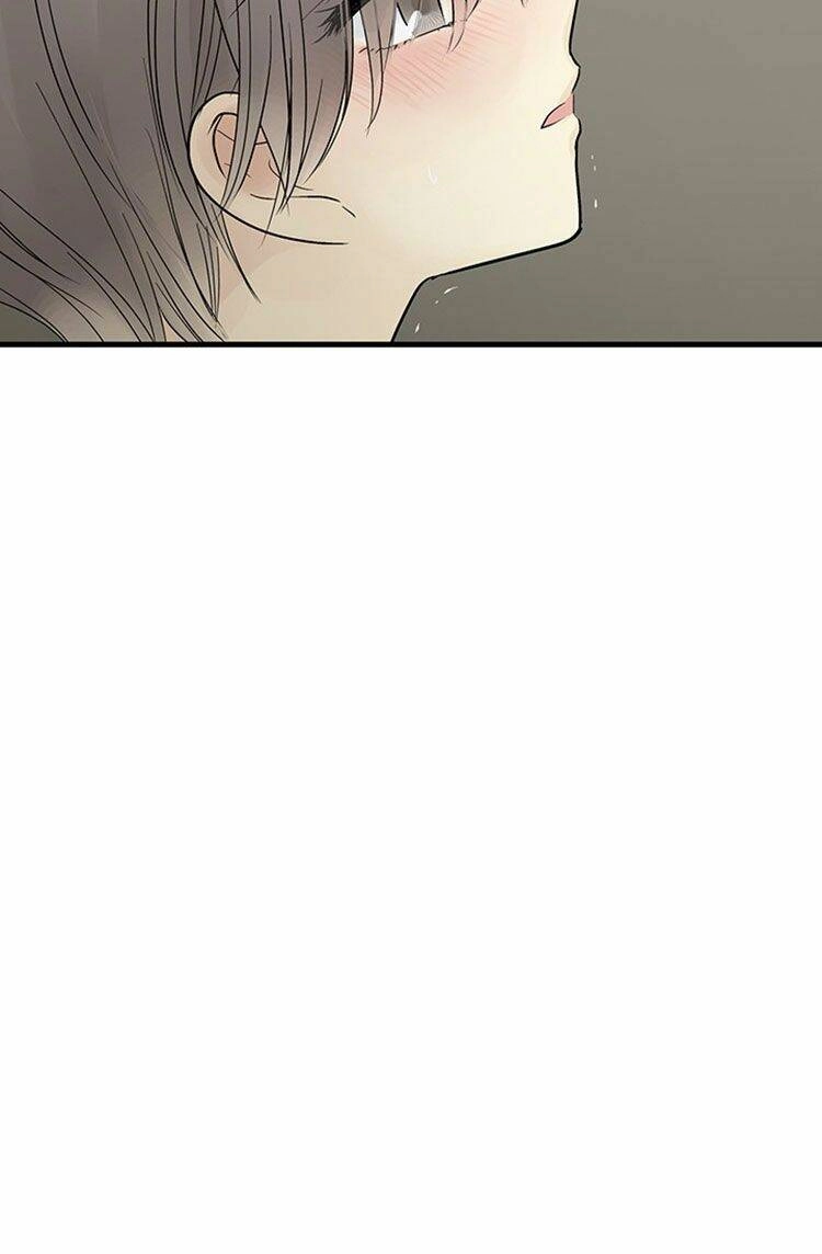 Lãnh Địa Totem Chapter 19 - 56