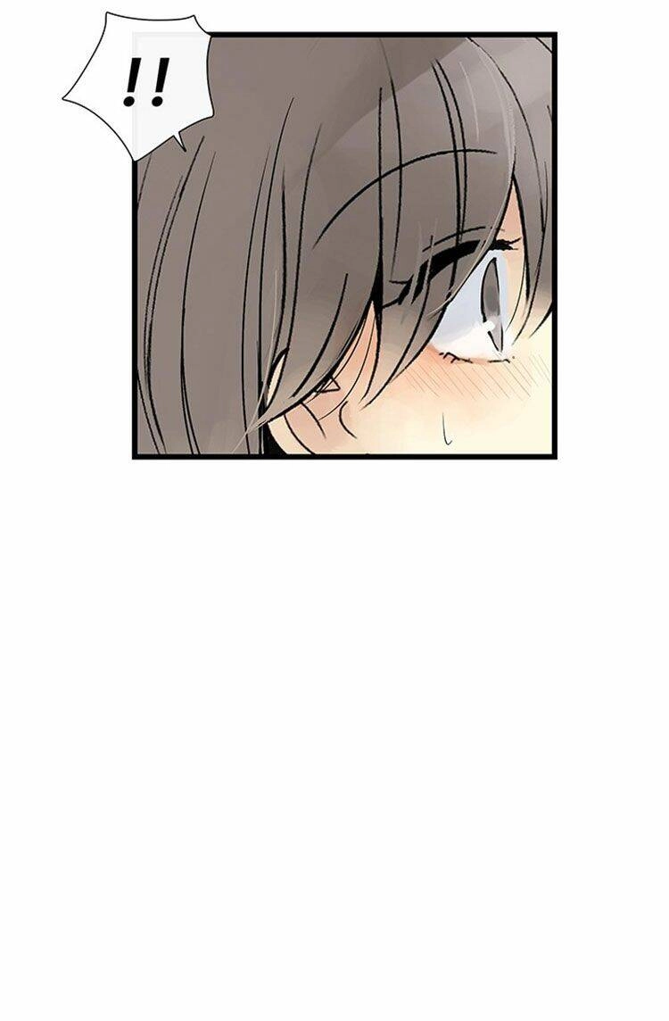 Lãnh Địa Totem Chapter 19 - 58