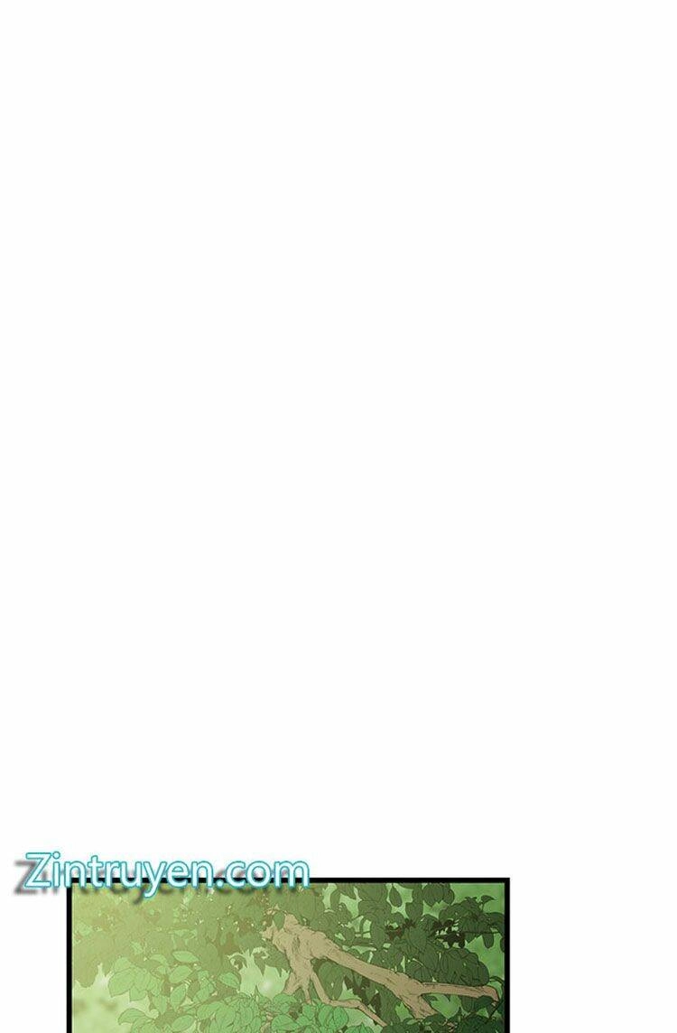 Lãnh Địa Totem Chapter 20 - 11