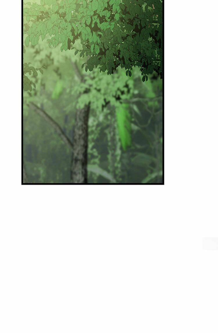 Lãnh Địa Totem Chapter 20 - 12