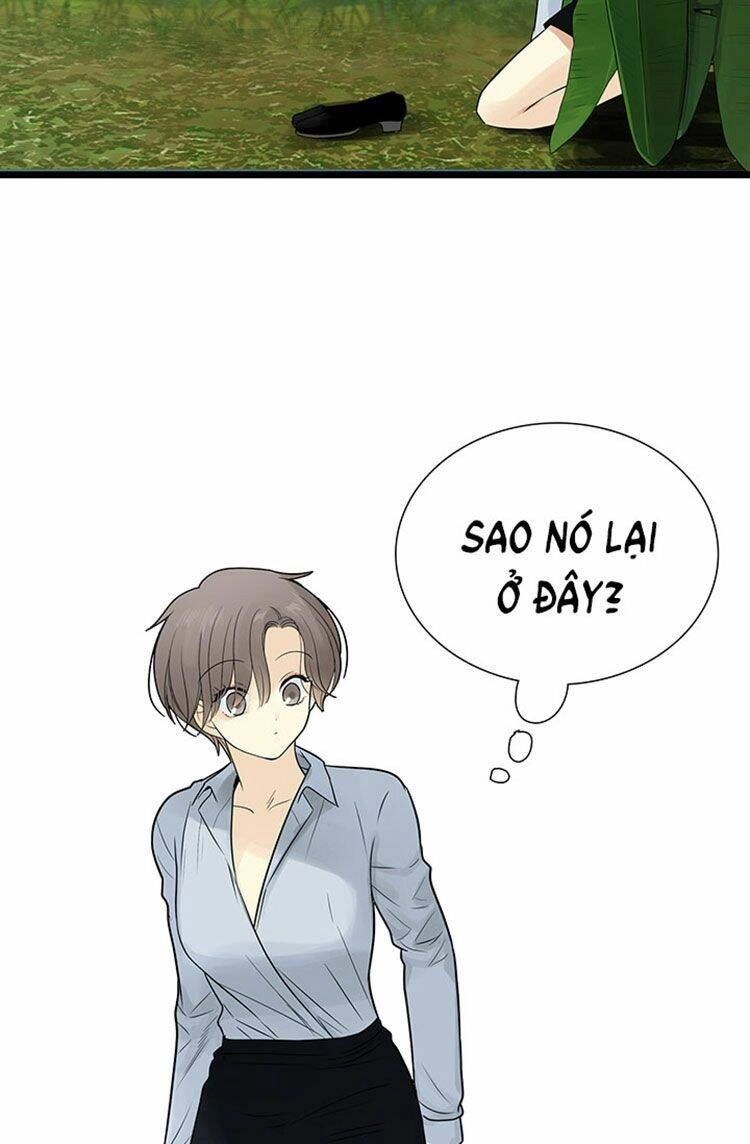 Lãnh Địa Totem Chapter 23 - 42