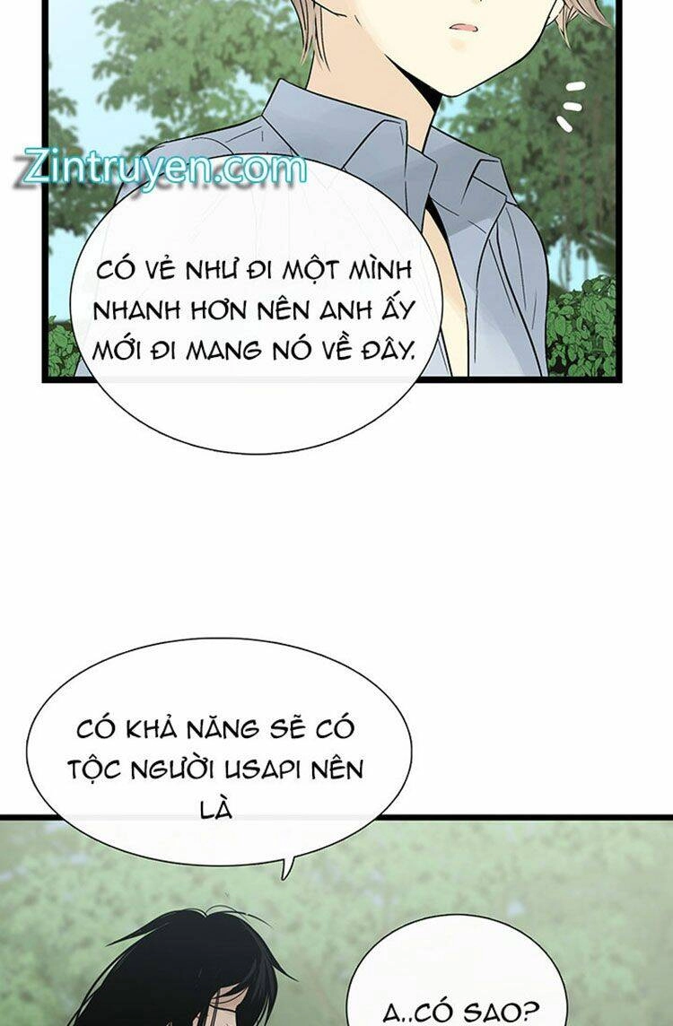 Lãnh Địa Totem Chapter 23 - 44