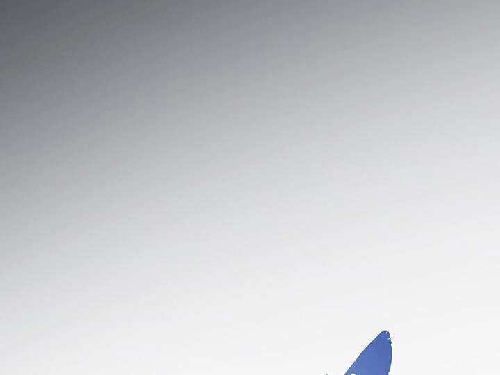 Lãnh Địa Totem Chapter 84.2 - 66