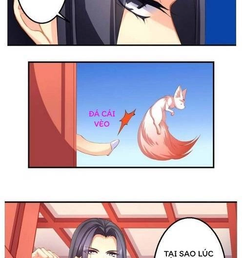 Thiên Hồ Kiếp Chapter 6 - 10