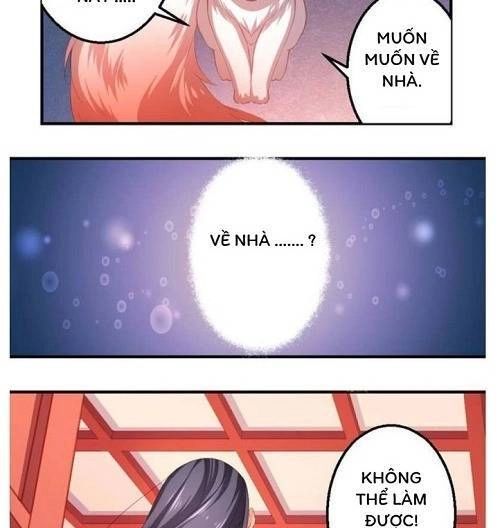 Thiên Hồ Kiếp Chapter 6 - 12