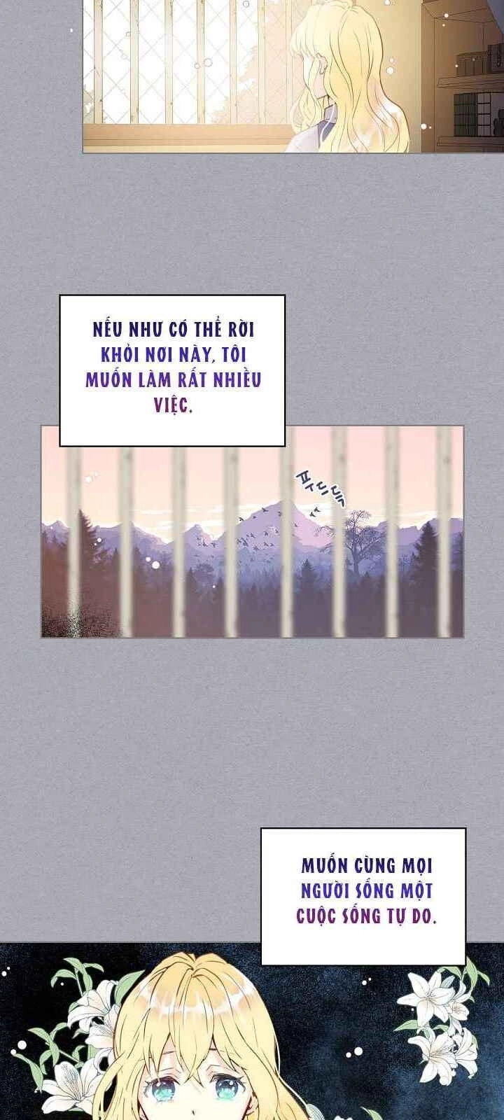 Con Có Phải Con Là Con Gái Của Ngài Không? Chapter 1 - 19