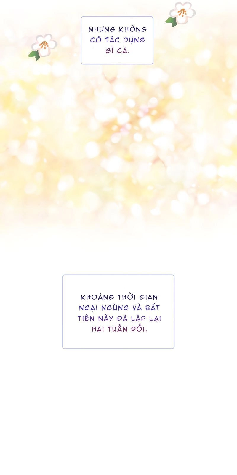 Con Có Phải Con Là Con Gái Của Ngài Không? Chapter 21 - 26