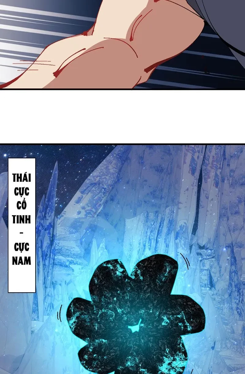 Sư Tôn: Nghịch Đồ Này Mới Không Phải Là Thánh Tử Chapter 151 - 54