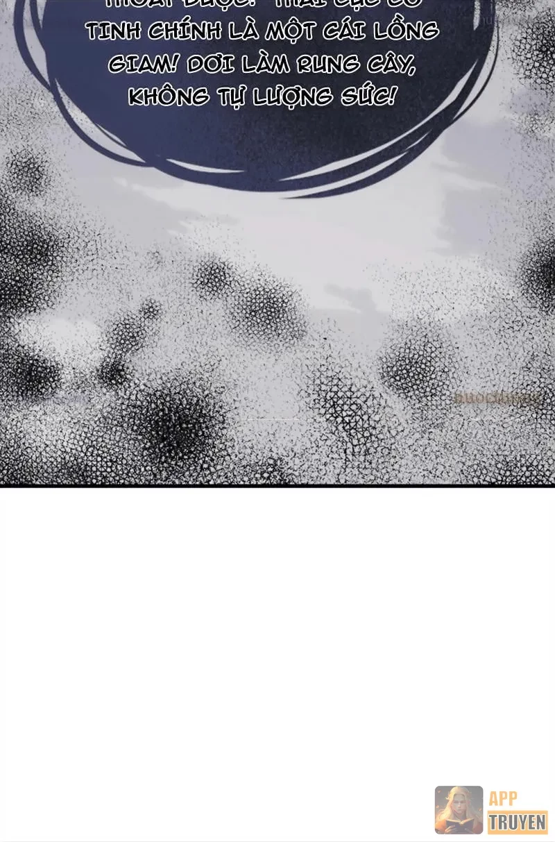 Sư Tôn: Nghịch Đồ Này Mới Không Phải Là Thánh Tử Chapter 158 - 14