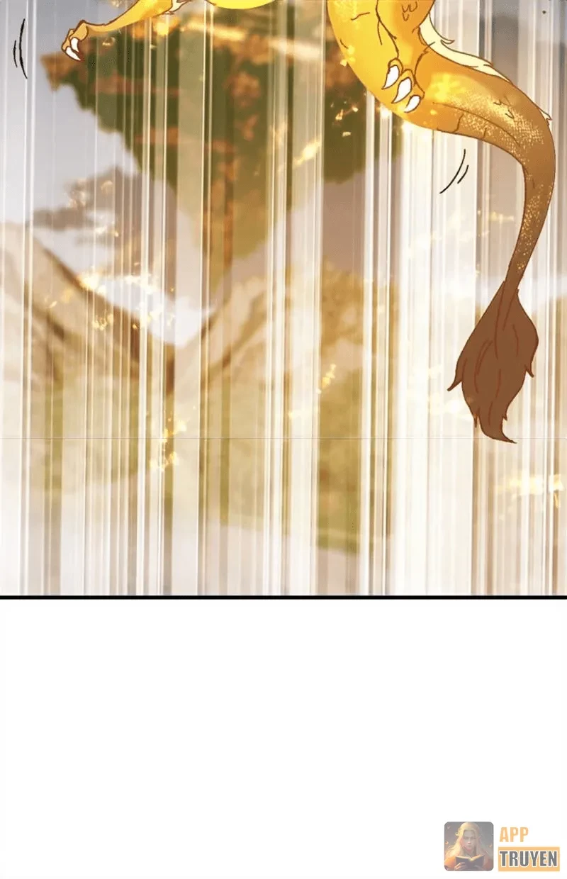 Sư Tôn: Nghịch Đồ Này Mới Không Phải Là Thánh Tử Chapter 158 - 80