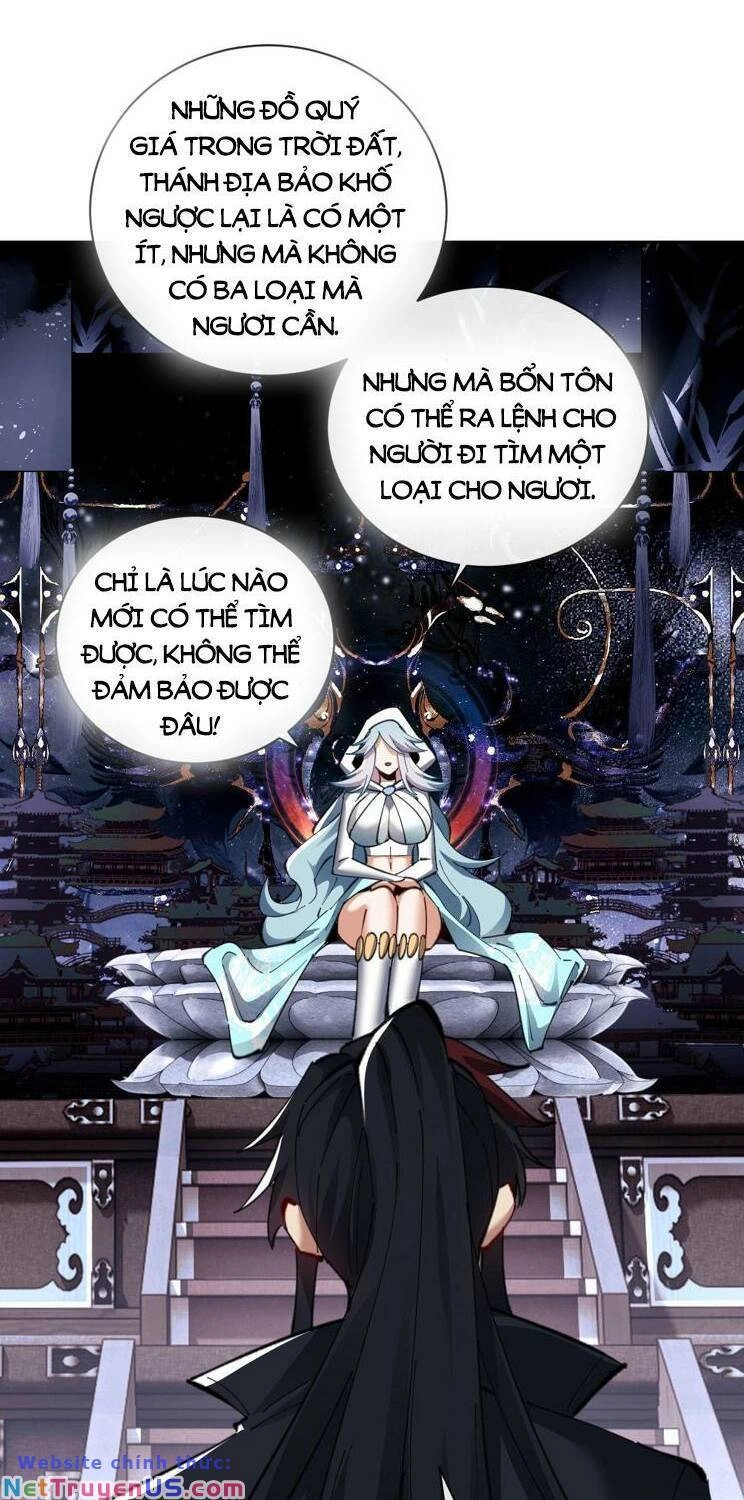 Sư Tôn: Nghịch Đồ Này Mới Không Phải Là Thánh Tử Chapter 13 - 4