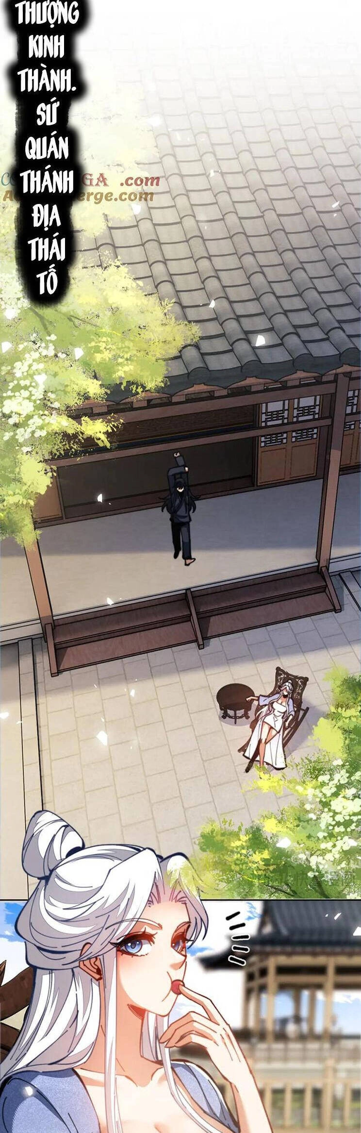 Sư Tôn: Nghịch Đồ Này Mới Không Phải Là Thánh Tử Chapter 40 - 11