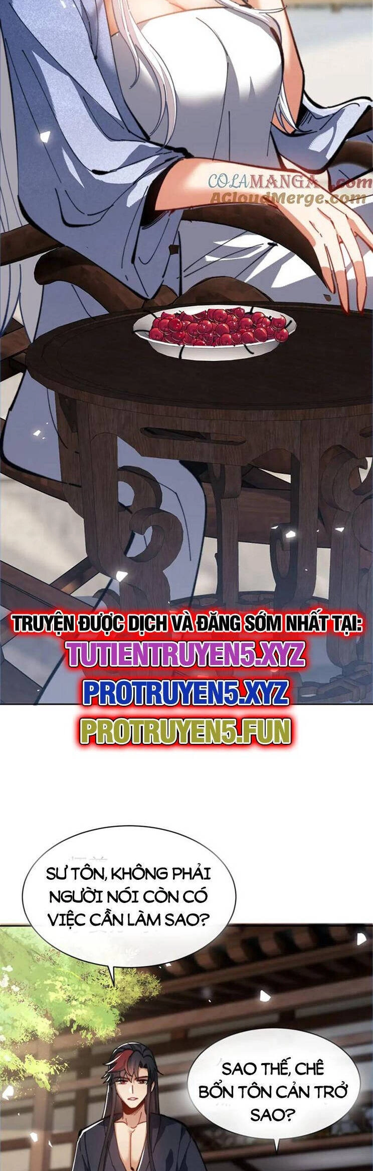 Sư Tôn: Nghịch Đồ Này Mới Không Phải Là Thánh Tử Chapter 40 - 12