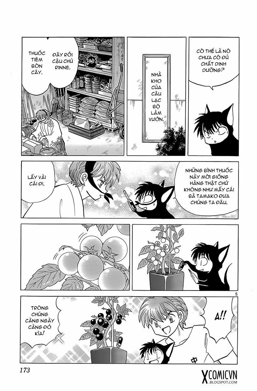 Bạn Học Bí Ẩn Chapter 198 - 5