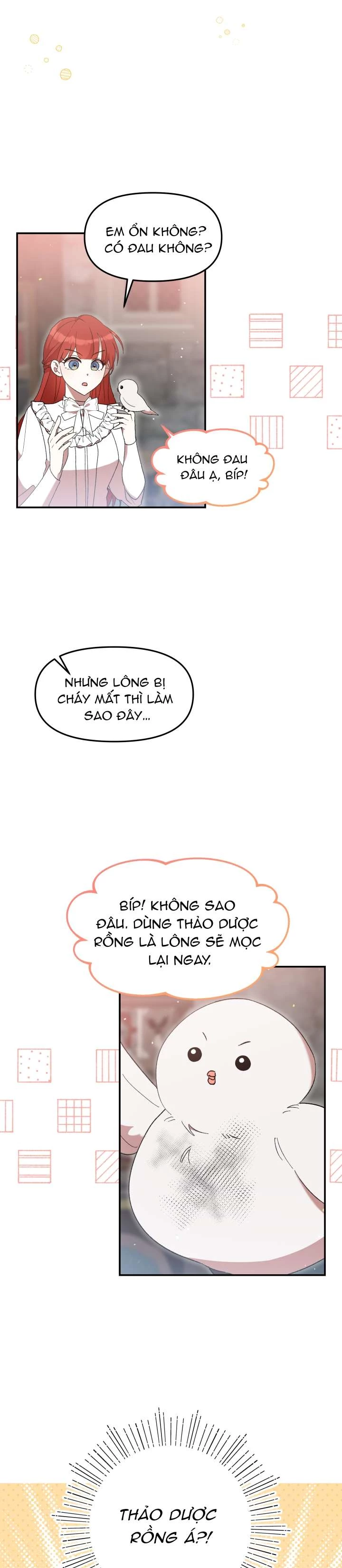 Tôi Đã Vô Tình Quyến Rũ Em Trai Của Nam Chính Chapter 44 - 16