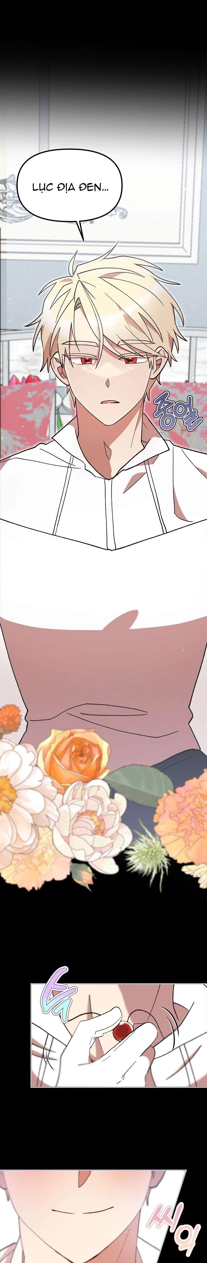 Tôi Đã Vô Tình Quyến Rũ Em Trai Của Nam Chính Chapter 47 - 26