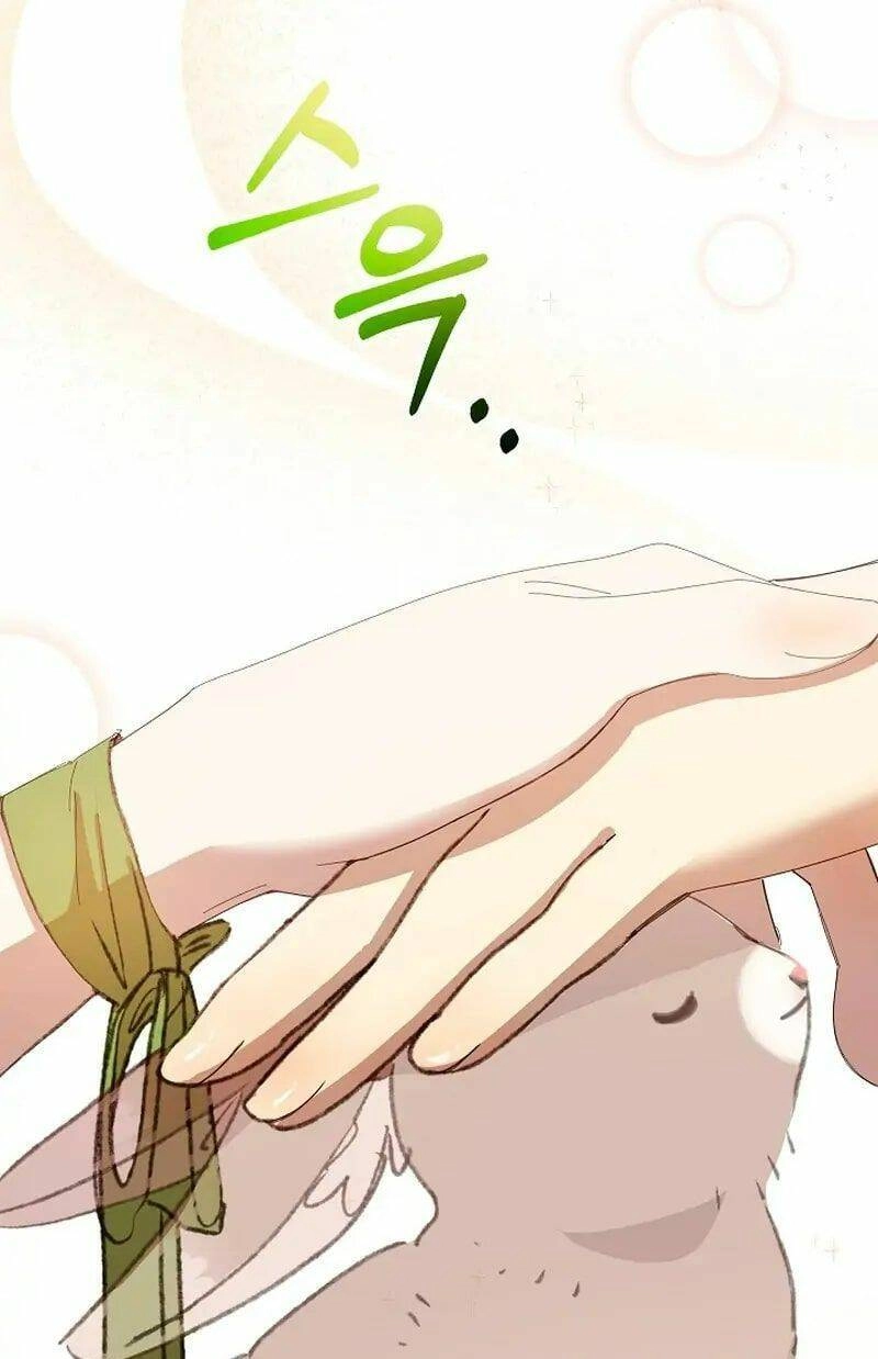 Tôi Đã Vô Tình Quyến Rũ Em Trai Của Nam Chính Chapter 5 - 44