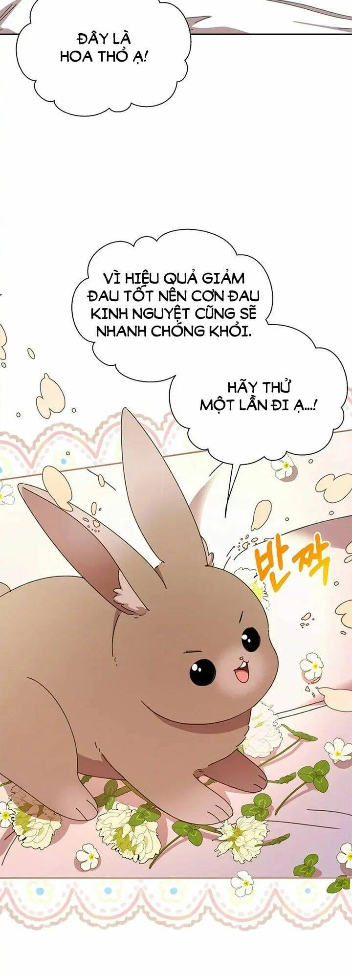 Tôi Đã Vô Tình Quyến Rũ Em Trai Của Nam Chính Chapter 12 - 58