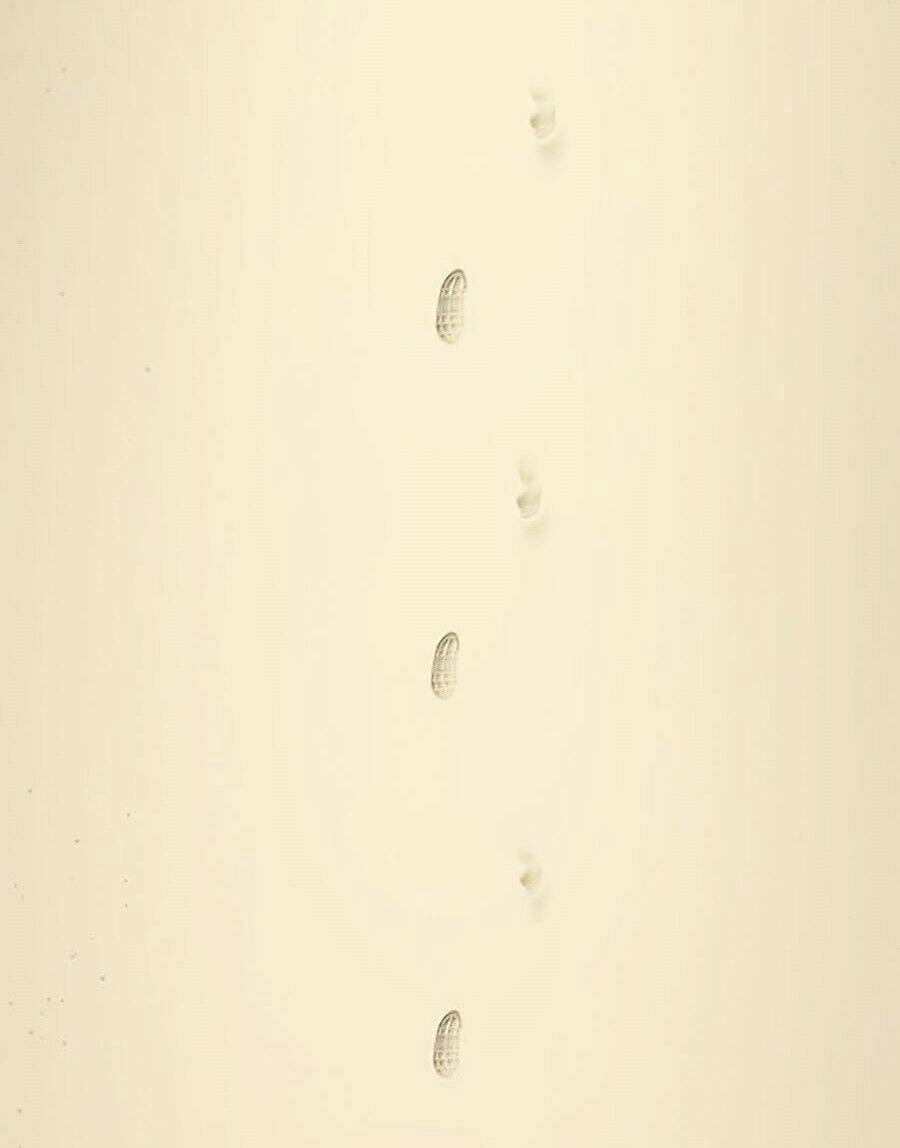 Để Có Thể Sống Sót Chapter 1 - 61