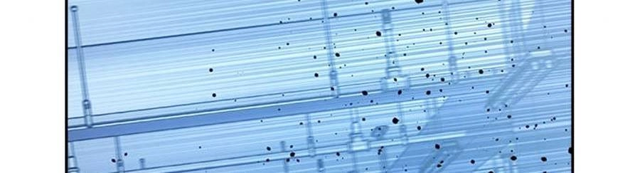 Để Có Thể Sống Sót Chapter 53 - 92