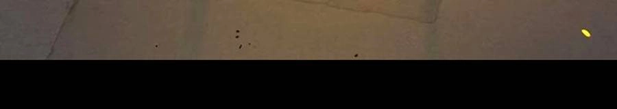 Để Có Thể Sống Sót Chapter 61 - 120