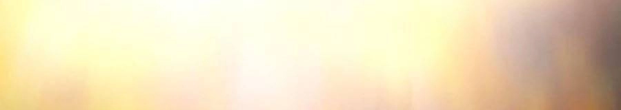 Để Có Thể Sống Sót Chapter 64 - 181