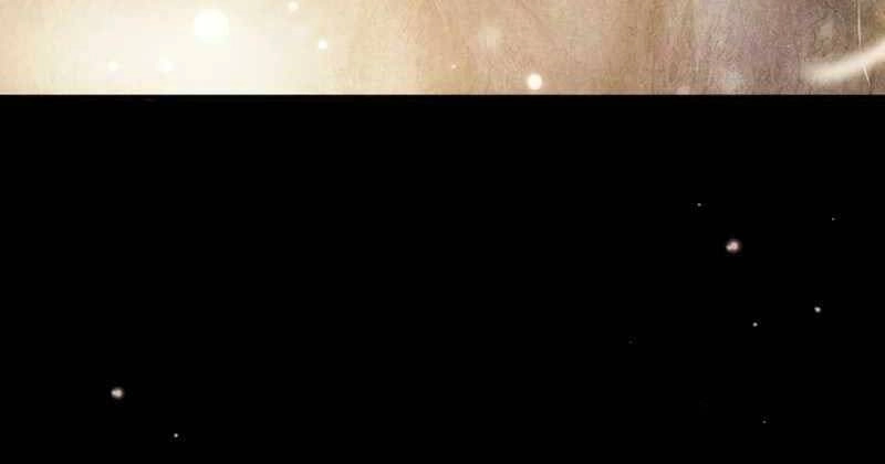 Giáo Sư Gián Điệp Chapter 19 - 195