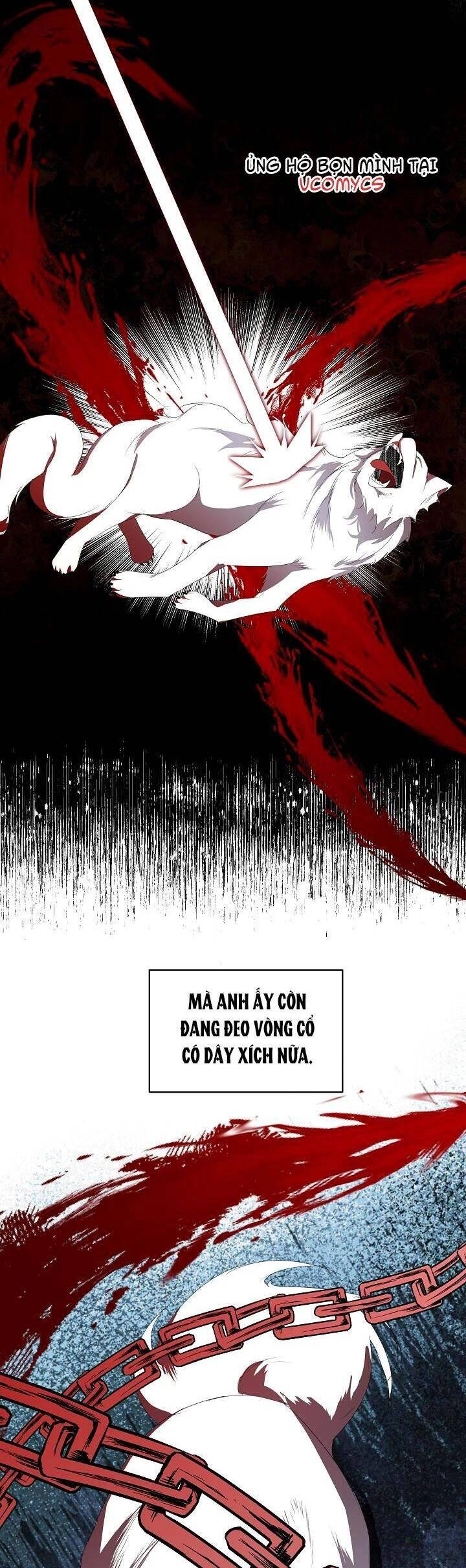 Tạm Thời Tôi Sẽ Bảo Vệ Nam Chính Chapter 7 - 23