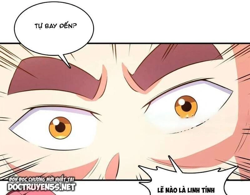 Thiên Đạo Đồ Thư Quán Chapter 260 - 24