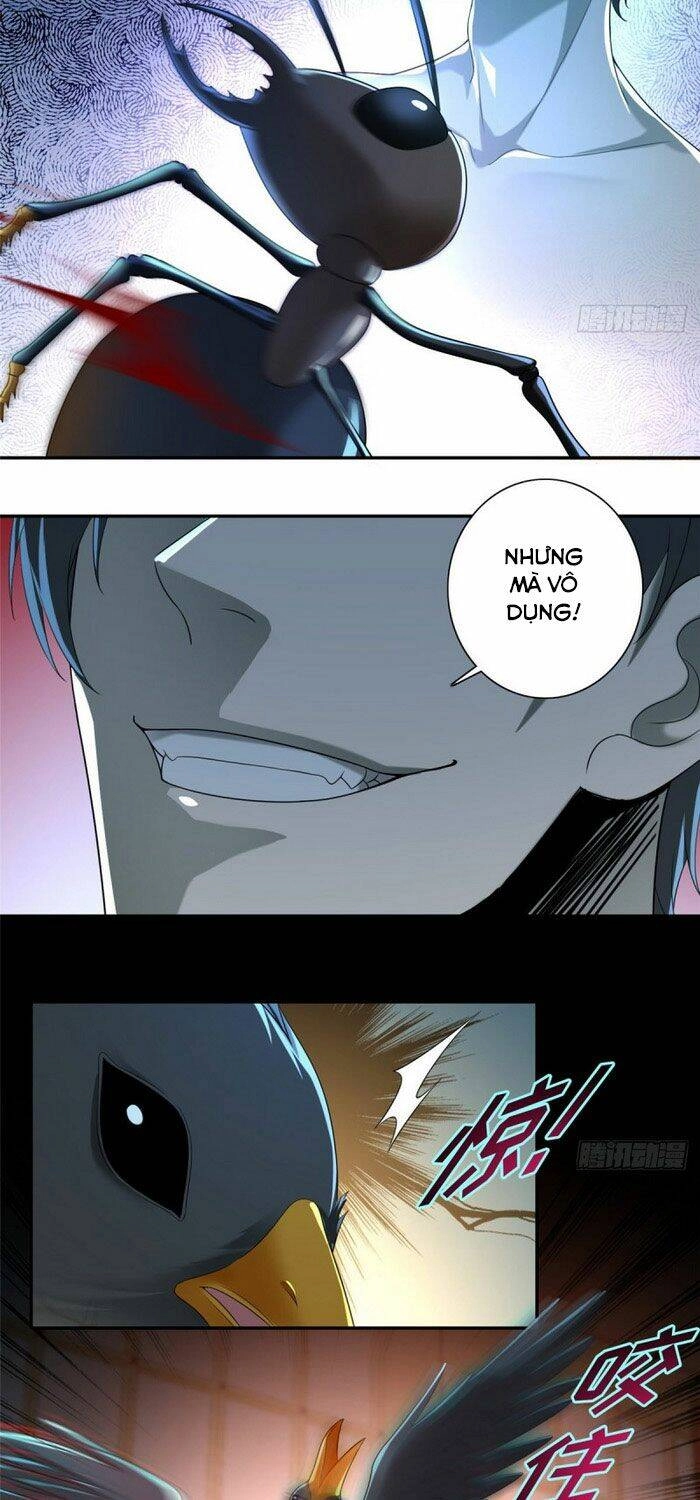 Người Đưa Thư Vô Hạn Chapter 142 - 3