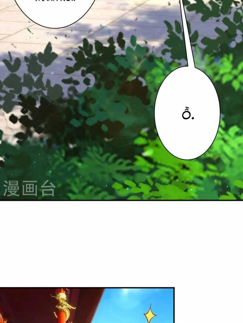 Nhất Đẳng Gia Đinh Chapter 341 - 16