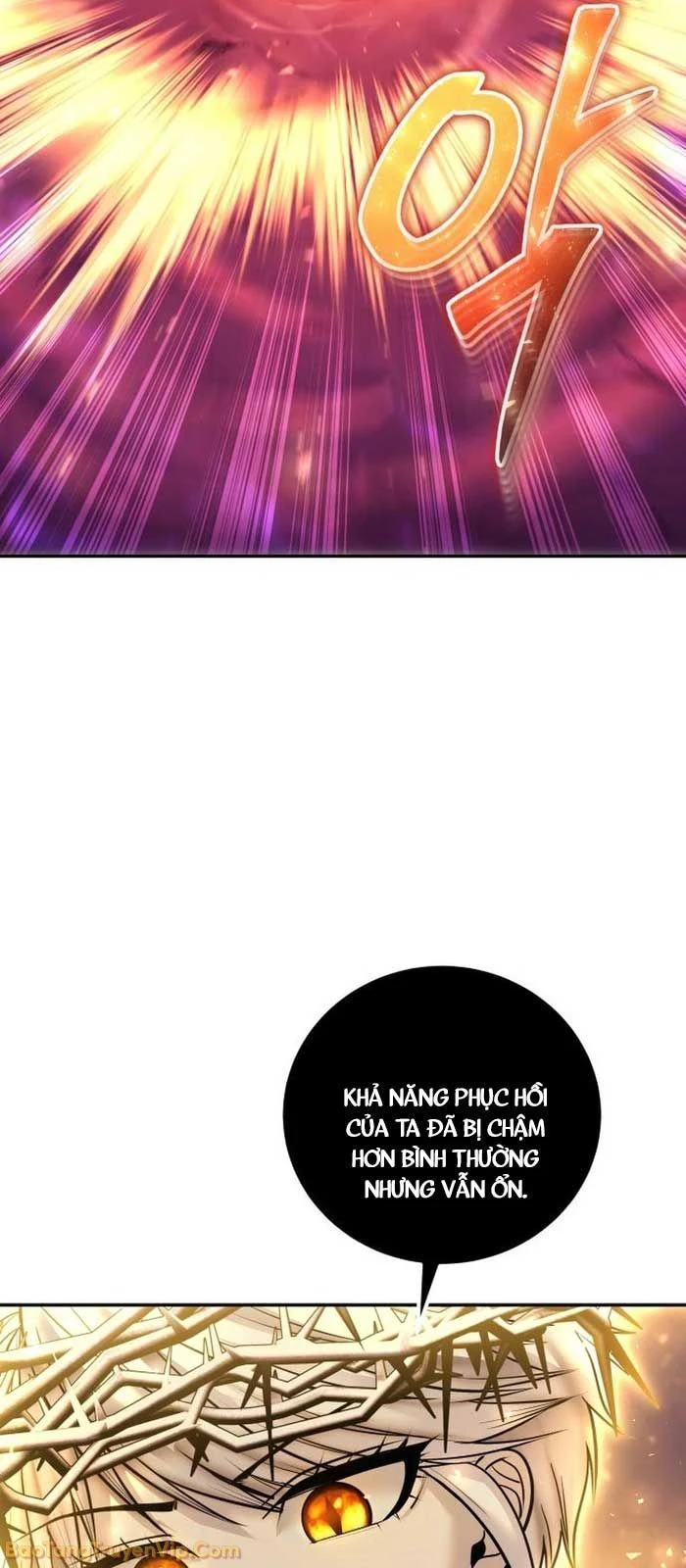 Tôi Mạnh Hơn Anh Hùng Chapter 94 - 79