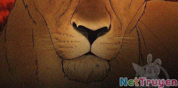 Bố Vạn Năng Chapter 31 - 57