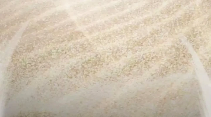 Cậu Bé Của Thần Chết Chapter 301 - 82