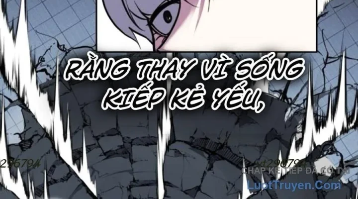 Cậu Bé Của Thần Chết Chapter 310 - 202