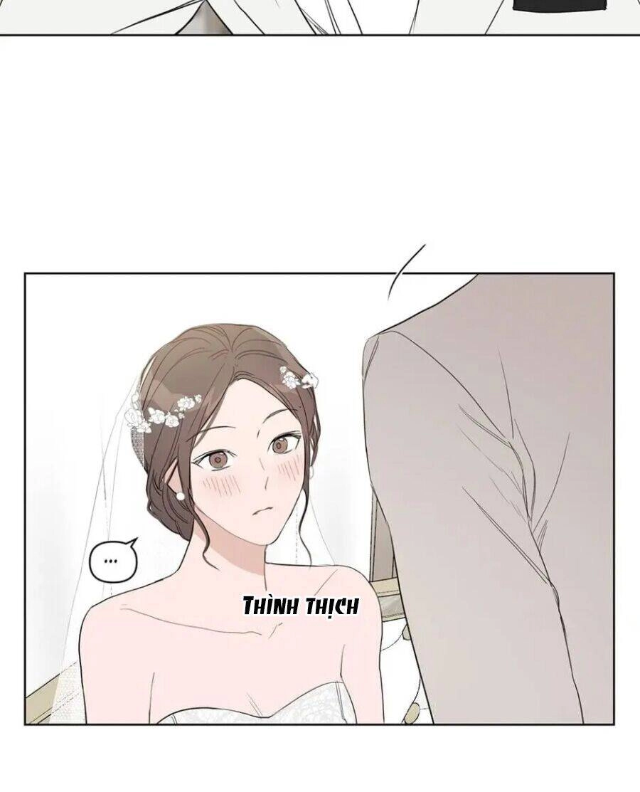 Baby Đến Rồi! Chapter 36 - 52