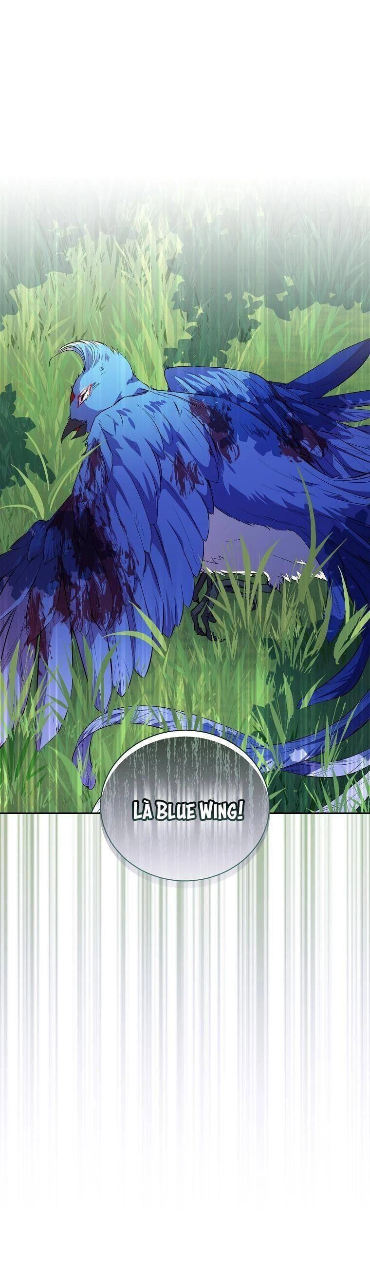 Tôi Là Thánh Nữ Giả Mạo Nhưng Các Thần Lại Ám Ảnh Tôi Chapter 14 - 15