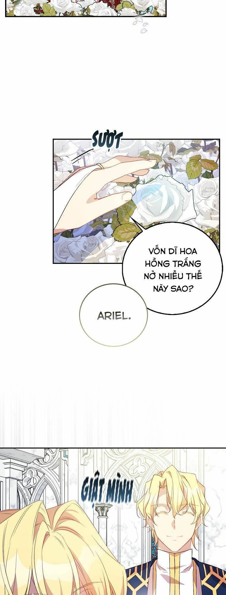 Tôi Là Thánh Nữ Giả Mạo Nhưng Các Thần Lại Ám Ảnh Tôi Chapter 24 - 34