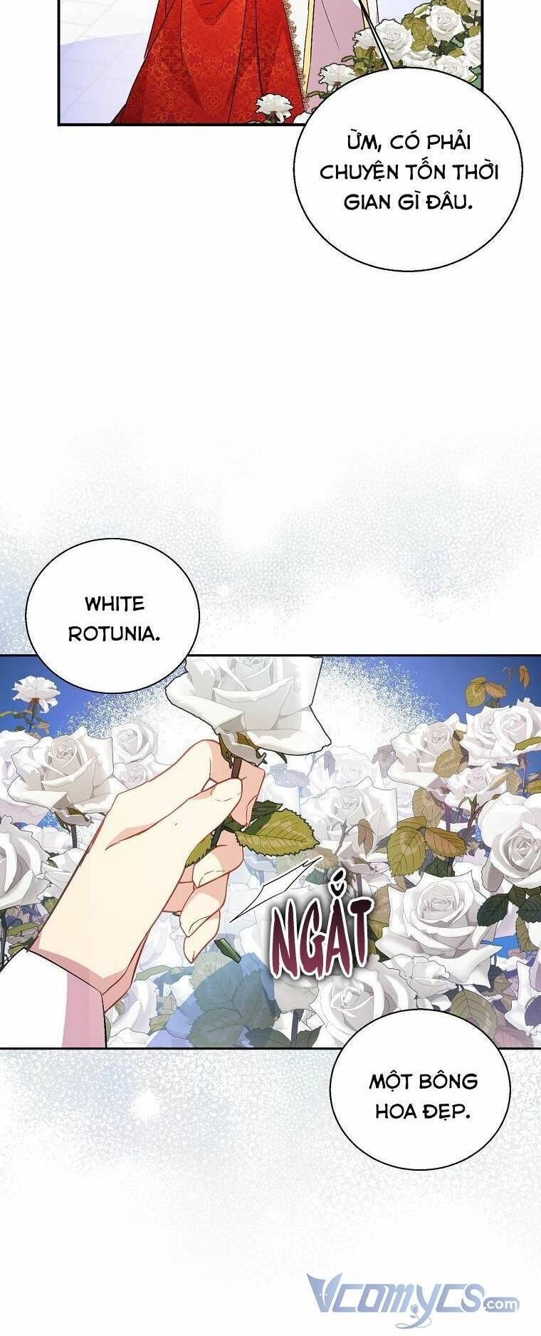 Tôi Là Thánh Nữ Giả Mạo Nhưng Các Thần Lại Ám Ảnh Tôi Chapter 24 - 36