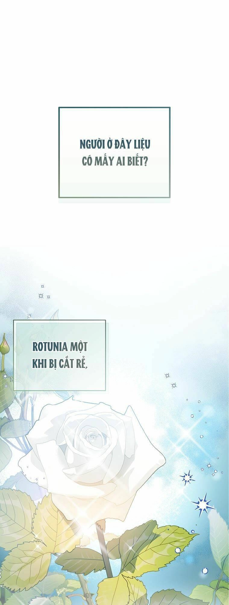 Tôi Là Thánh Nữ Giả Mạo Nhưng Các Thần Lại Ám Ảnh Tôi Chapter 35 - 2