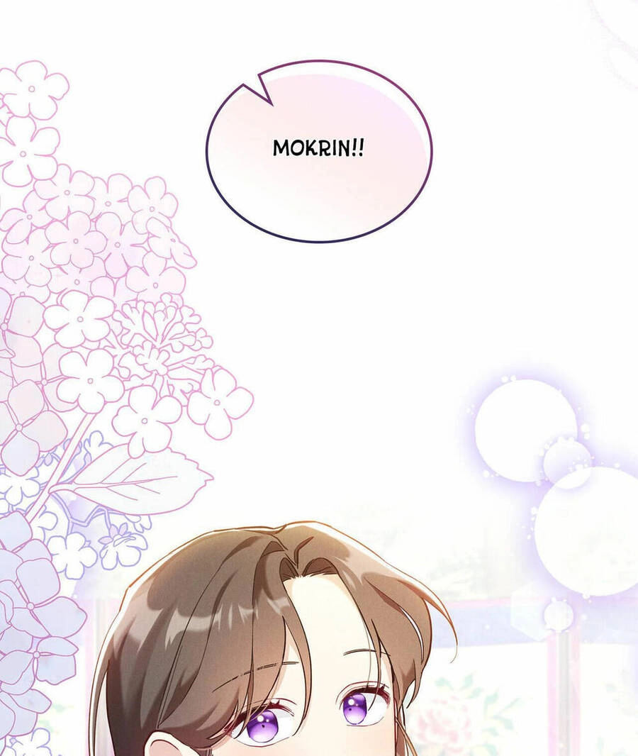 Mokrin Chapter 2.1 - 4