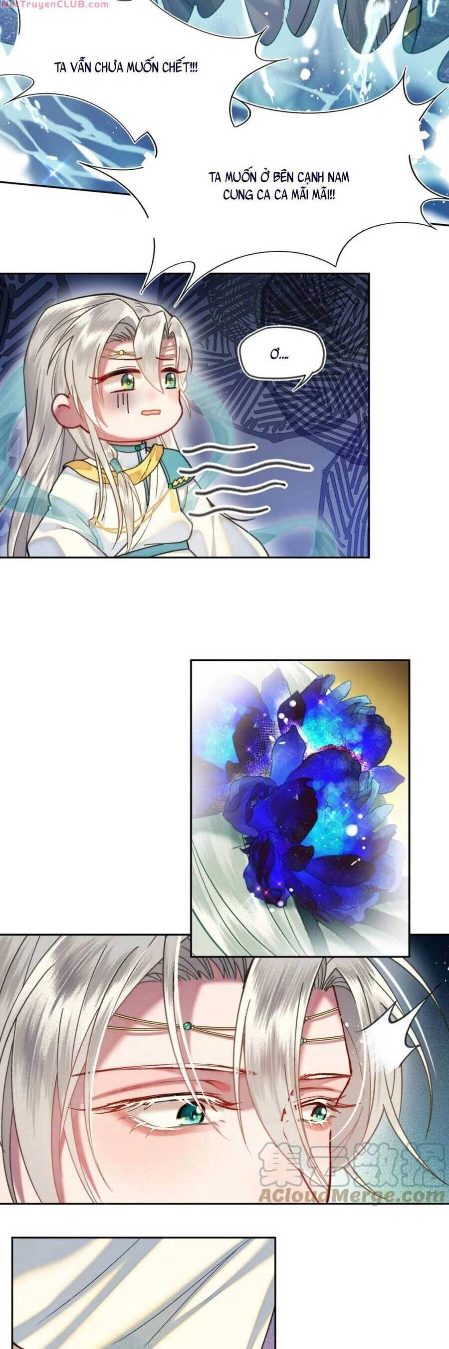 Phu Quân, Làm Ơn Để Ta Yên! Chapter 39 - 7